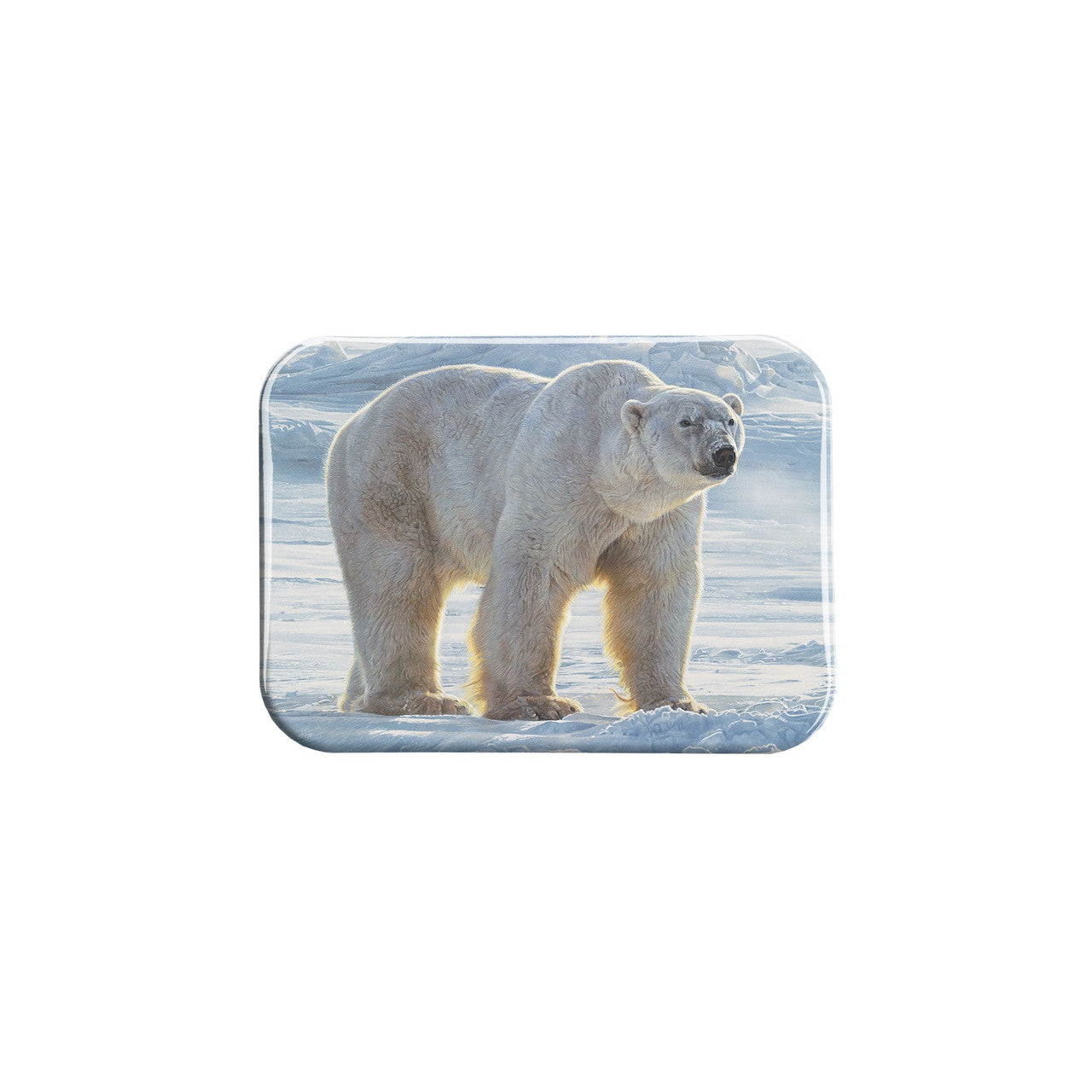 "Arctic Allure" - 2.5" X 3.5" Rectangle Fridge Magnets