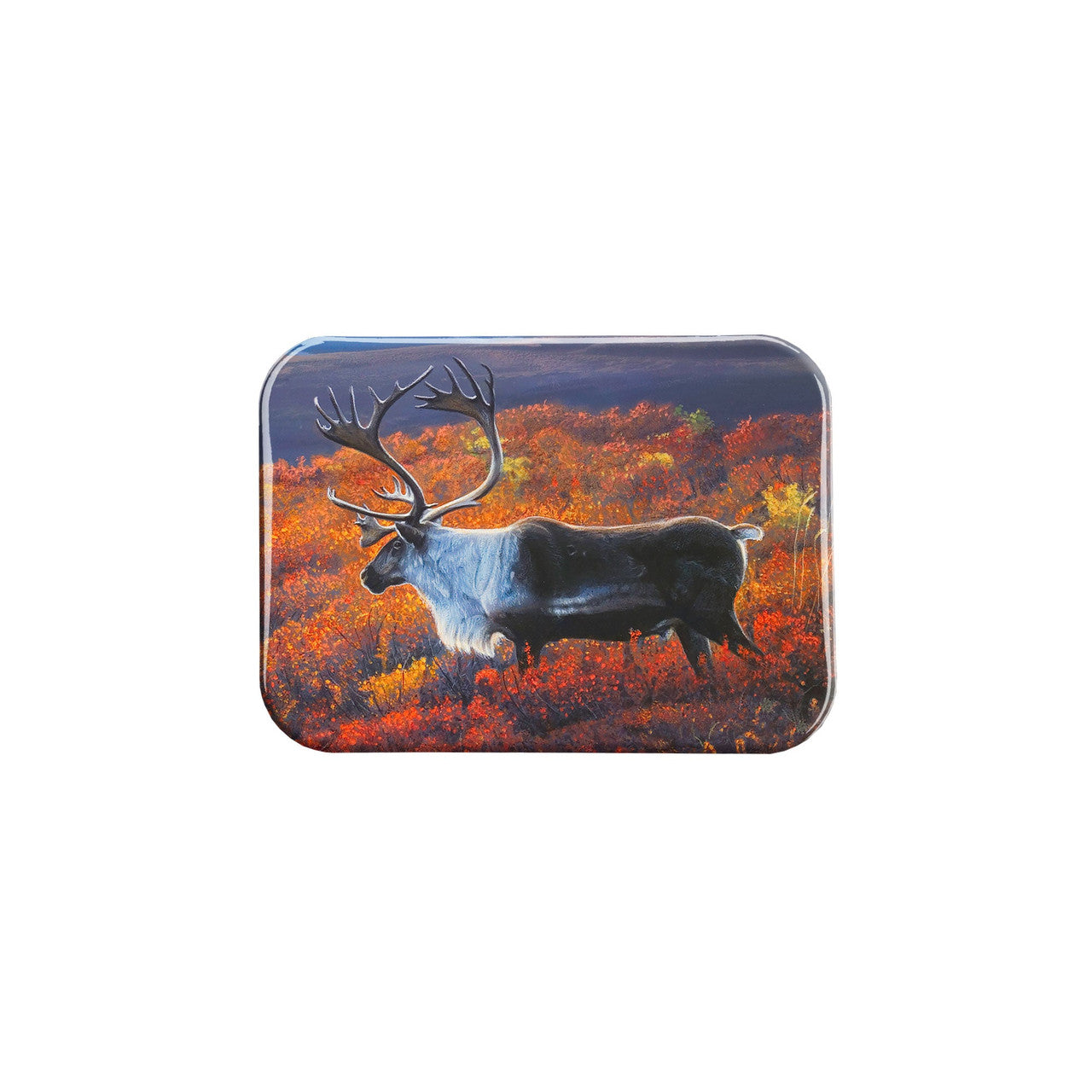 "Arctic Sojourn" - 2.5" X 3.5" Rectangle Fridge Magnets