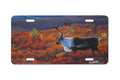 "Arctic Sojourn" - Decorative License Plate