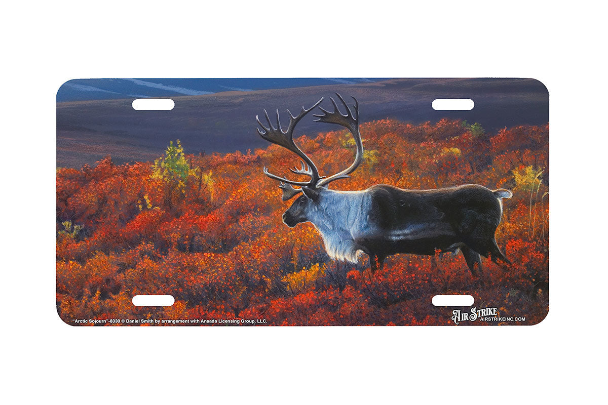 "Arctic Sojourn" - Decorative License Plate