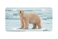 "Arctic Summer" - Decorative License Plate
