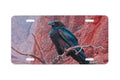 "Canyon Raven" - Decorative License Plate