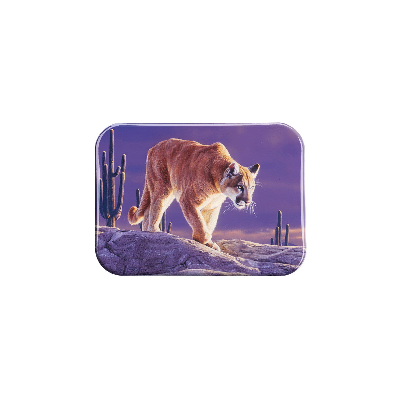 "Final Descent " - 2.5" X 3.5" Rectangle Fridge Magnets