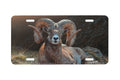"High Country Repose" - Decorative License Plate