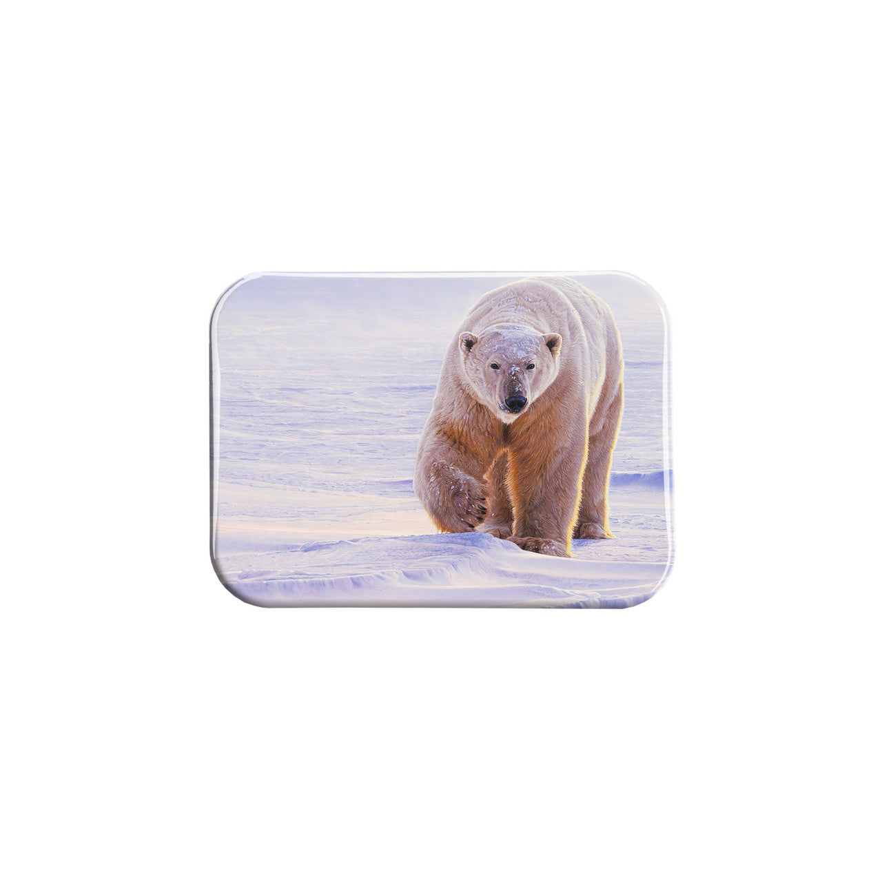 "Polar Patrol" - 2.5" X 3.5" Rectangle Fridge Magnets