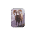 "Rocky Mountain Realm" - 2.5" X 3.5" Rectangle Fridge Magnets