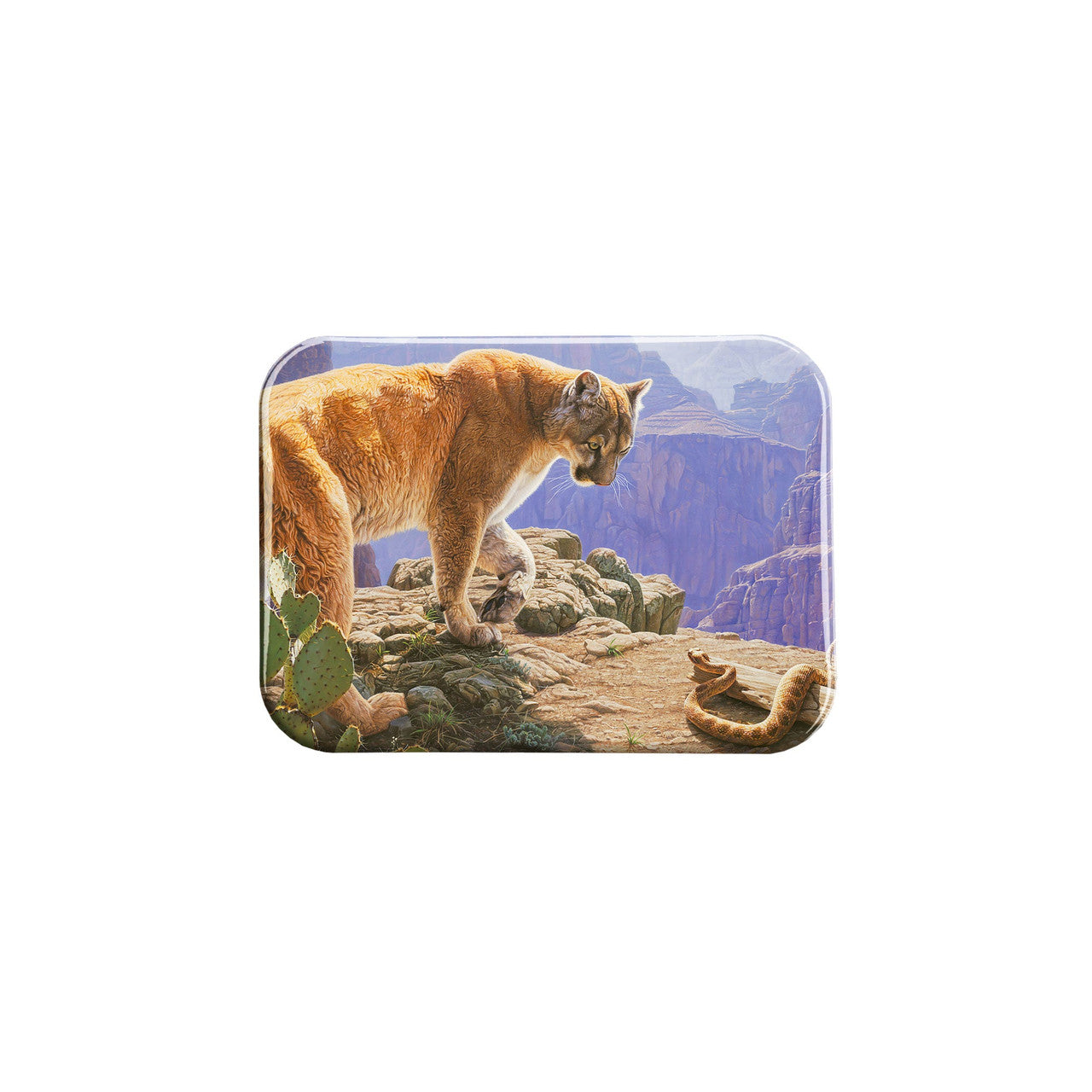 "Snake Dance" - 2.5" X 3.5" Rectangle Fridge Magnets
