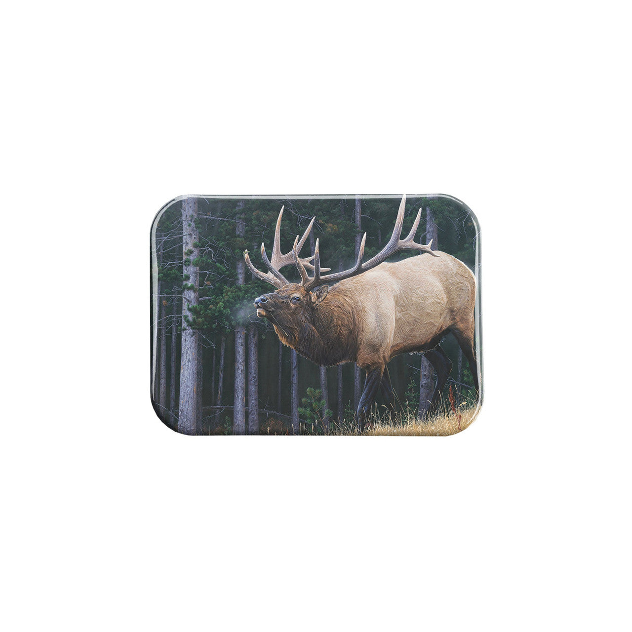 "The Suitor" - 2.5" X 3.5" Rectangle Fridge Magnets