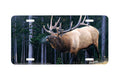 "The Suitor" - Decorative License Plate