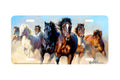 "Thunder and Dust" - Decorative License Plate
