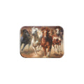 "The Power of Freedom" - 2.5" X 3.5" Rectangle Fridge Magnets