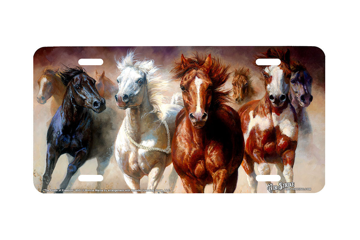 "The Power of Freedom" - Decorative License Plate