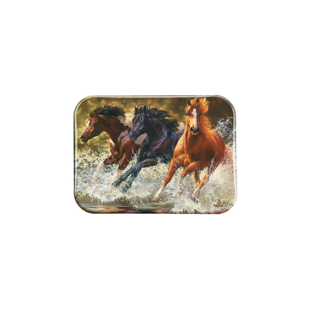 "Splash" - 2.5" X 3.5" Rectangle Fridge Magnets
