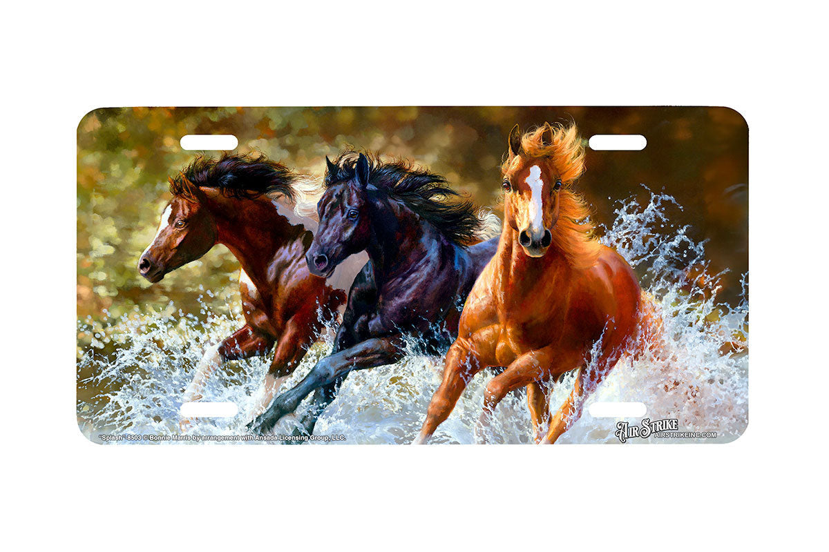 "Splash" - Decorative License Plate