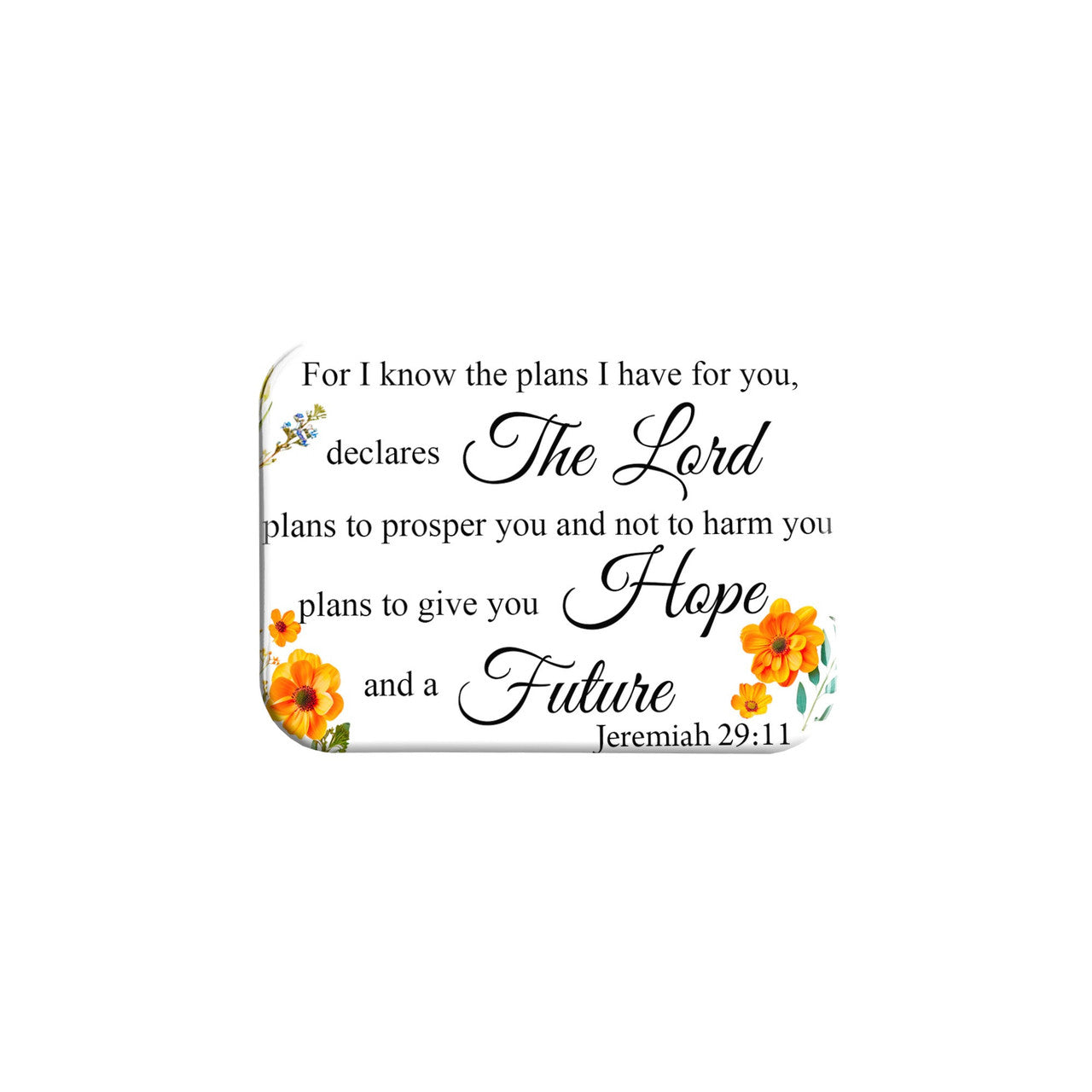"Jeremiah 2911" - 2.5" X 3.5" Rectangle Fridge Magnets