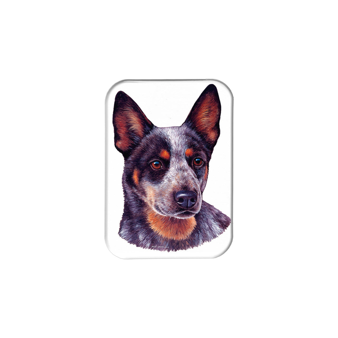 "Australian Cattle Dog" - 2.5" X 3.5" Rectangle Fridge Magnets