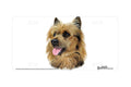 "Australian Terrier" - Decorative License Plate