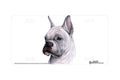 "White Boxer" - Decorative License Plate
