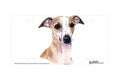 "Whippet" - Decorative License Plate