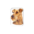 "Welsh Terrier" - 2.5" X 3.5" Rectangle Fridge Magnets