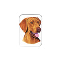 "Vizsla" - 2.5" X 3.5" Rectangle Fridge Magnets