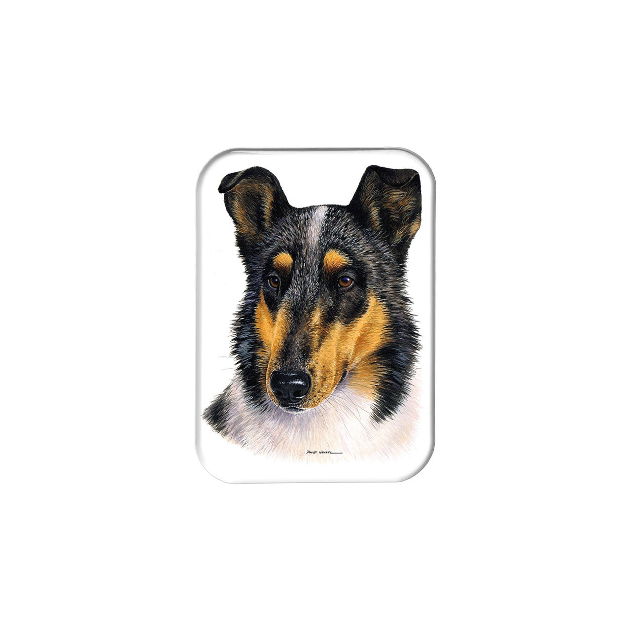 "Smooth Coat Collie" - 2.5" X 3.5" Rectangle Fridge Magnets