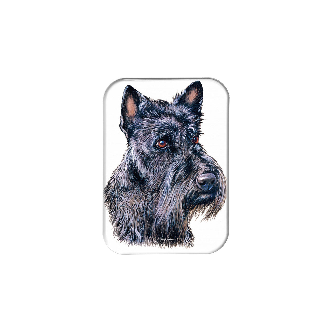 "Scottish Terrier" - 2.5" X 3.5" Rectangle Fridge Magnets