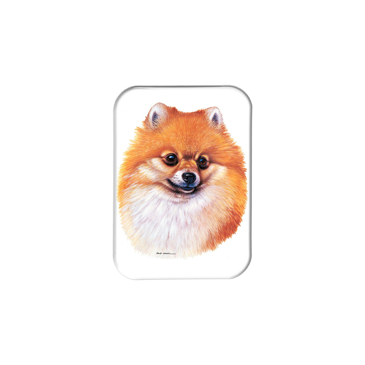 "Pomeranian" - 2.5" X 3.5" Rectangle Fridge Magnets