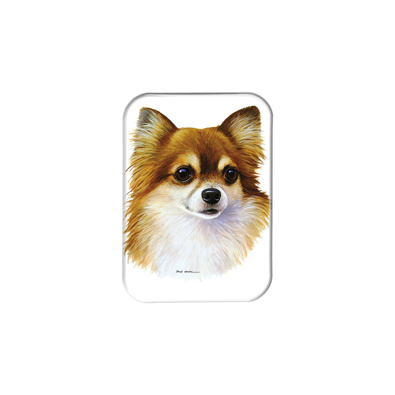 "Pomchi" - 2.5" X 3.5" Rectangle Fridge Magnets