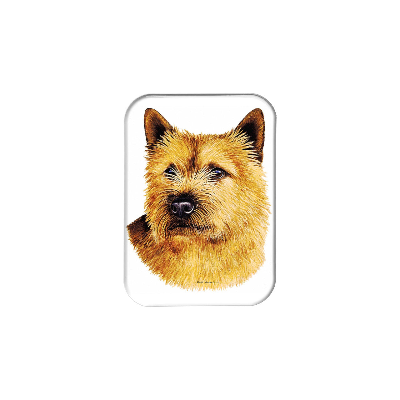 "Norwich Terrier" - 2.5" X 3.5" Rectangle Fridge Magnets