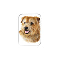 "Norfolk Terrier" - 2.5" X 3.5" Rectangle Fridge Magnets
