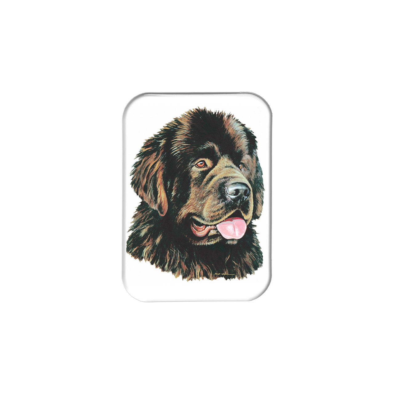 "Newfoundland" - 2.5" X 3.5" Rectangle Fridge Magnets