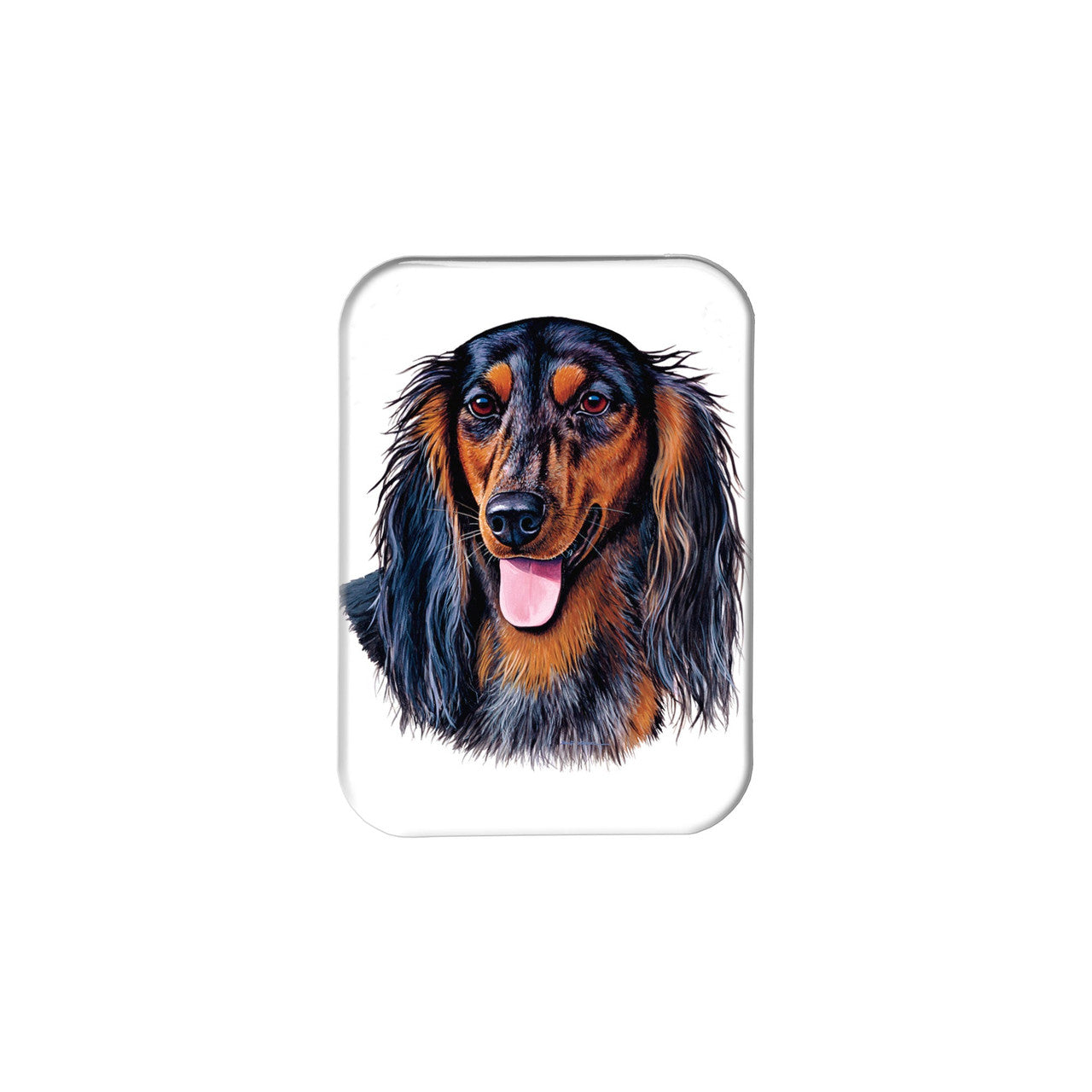 "Long Haired Dachshund" - 2.5" X 3.5" Rectangle Fridge Magnets