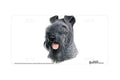"Kerry Blue Terrier" - Decorative License Plate