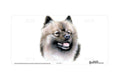 "Keeshond" - Decorative License Plate