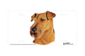 "Irish Terrier" - Decorative License Plate