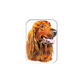 "Irish Setter" - 2.5" X 3.5" Rectangle Fridge Magnets