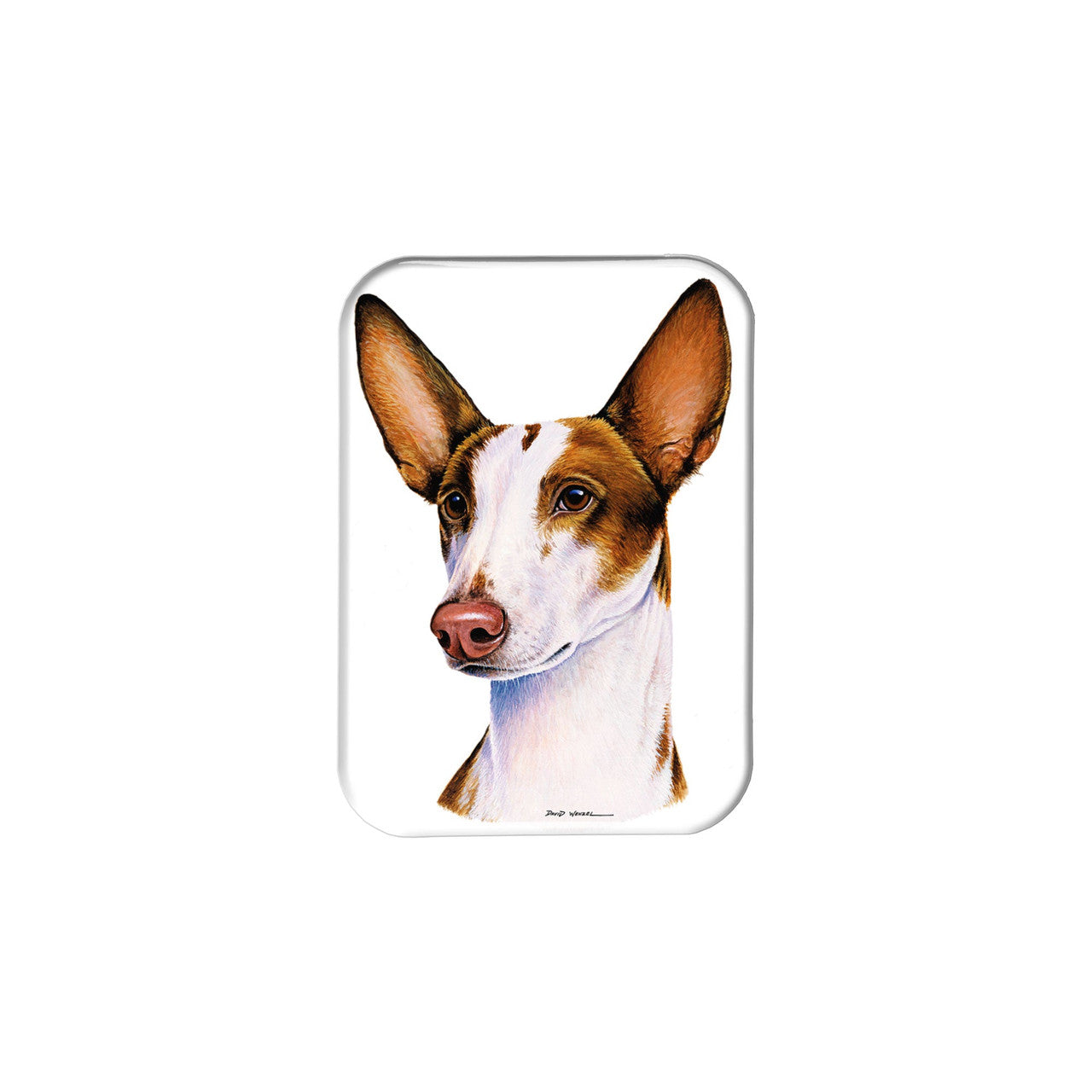 "Ibizan Hound" - 2.5" X 3.5" Rectangle Fridge Magnets