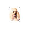 "Honey Poodle" - 2.5" X 3.5" Rectangle Fridge Magnets