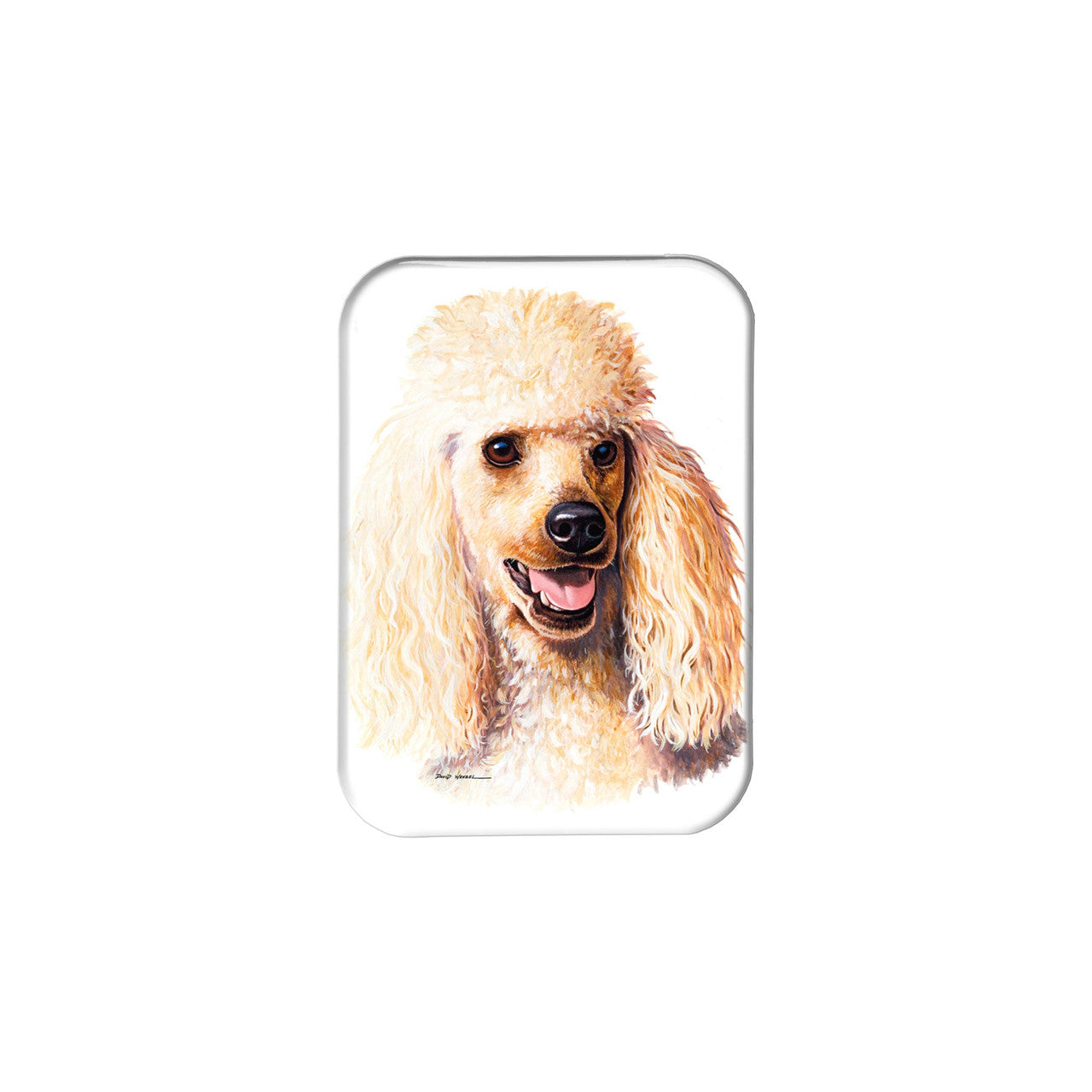 "Honey Poodle" - 2.5" X 3.5" Rectangle Fridge Magnets