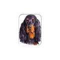 "Gordon Setter" - 2.5" X 3.5" Rectangle Fridge Magnets