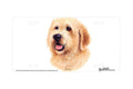 "Golden Doodle" - Decorative License Plate