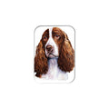 "English Springer Spaniel" - 2.5" X 3.5" Rectangle Fridge Magnets