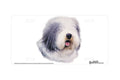 "English Sheepdog" - Decorative License Plate