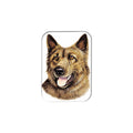 "Dutch Shepherd" - 2.5" X 3.5" Rectangle Fridge Magnets