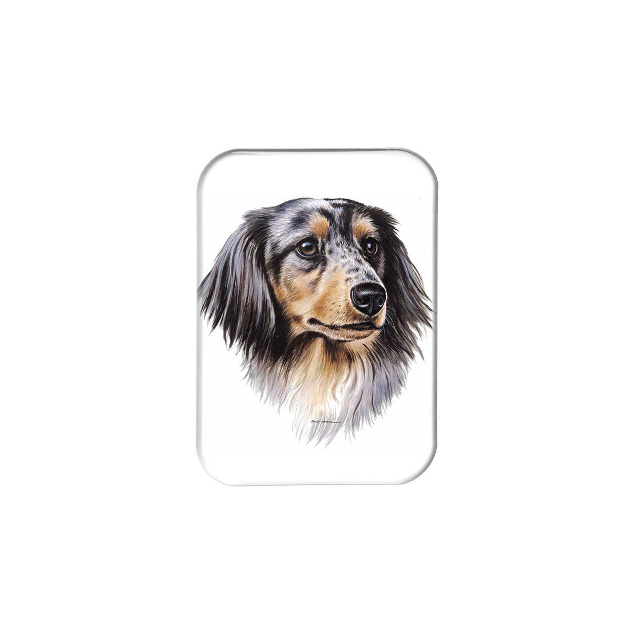 "Dapple Dachshund" - 2.5" X 3.5" Rectangle Fridge Magnets