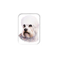 "Dandie Dinmont Terrier" - 2.5" X 3.5" Rectangle Fridge Magnets