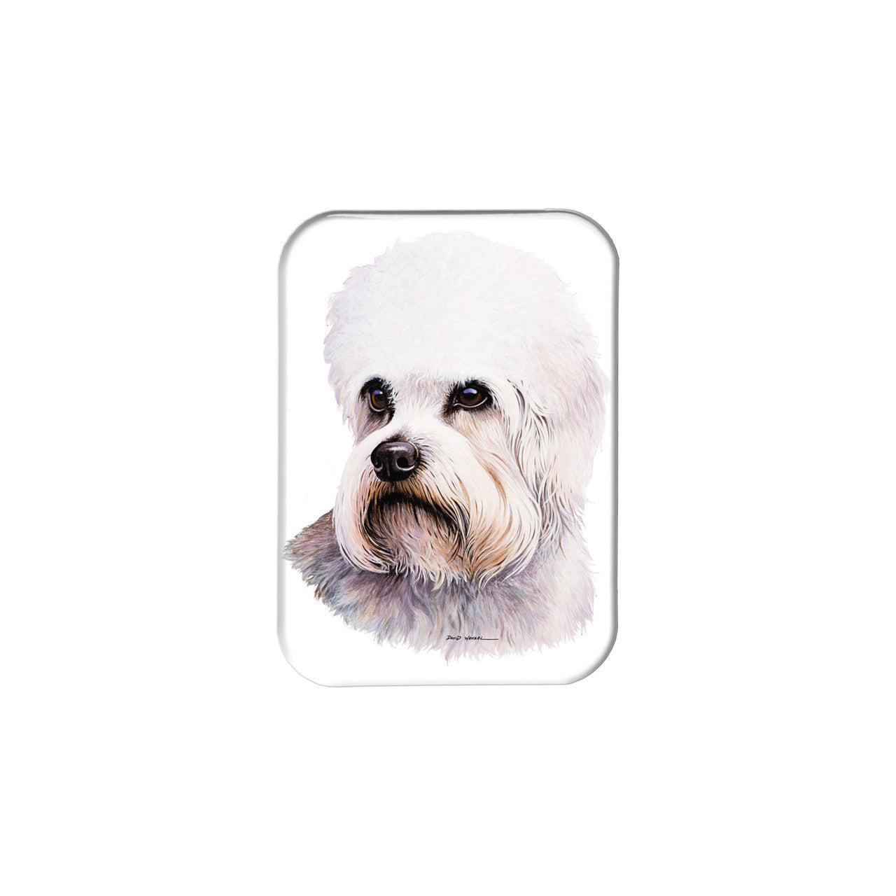"Dandie Dinmont Terrier" - 2.5" X 3.5" Rectangle Fridge Magnets