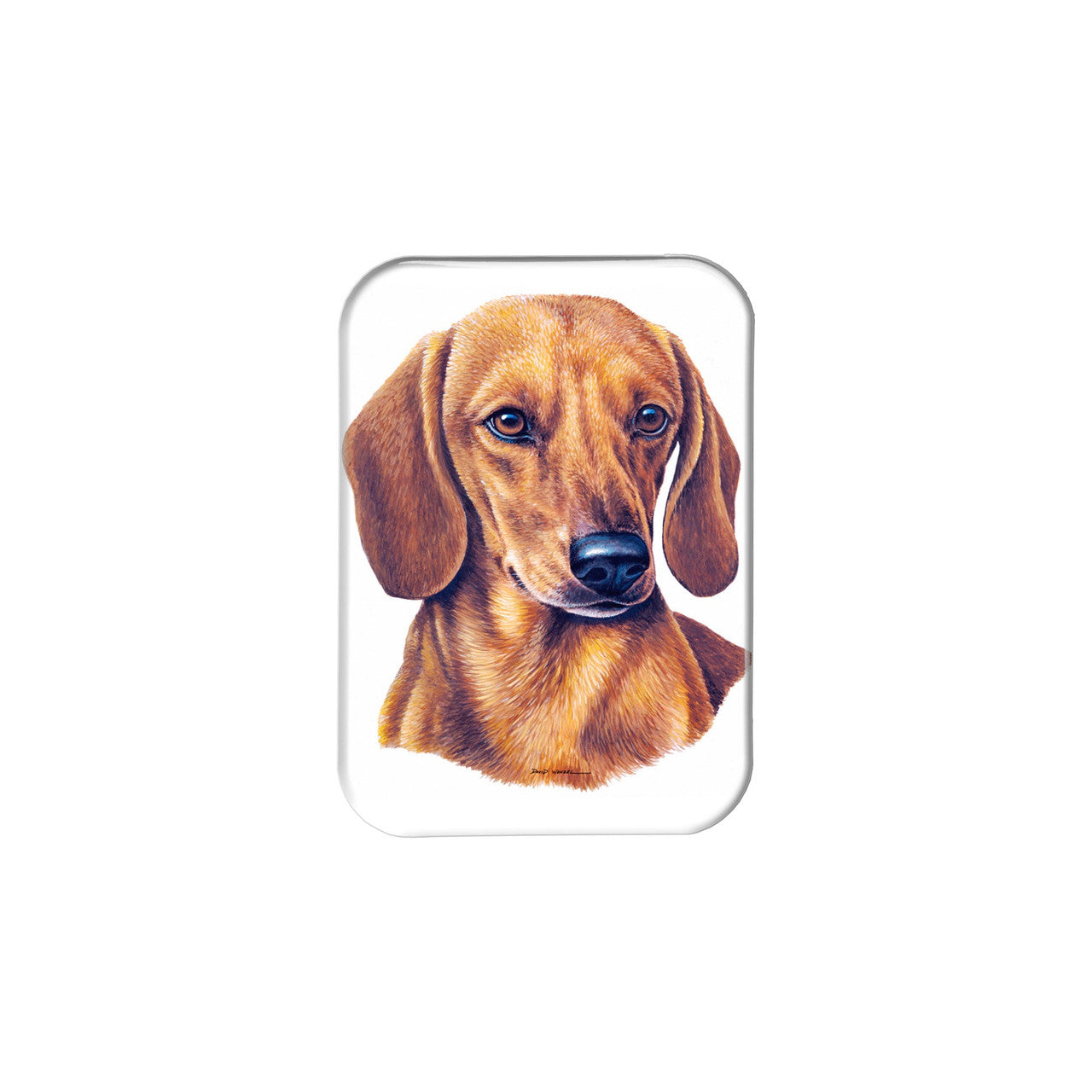 "Dachshund" - 2.5" X 3.5" Rectangle Fridge Magnets