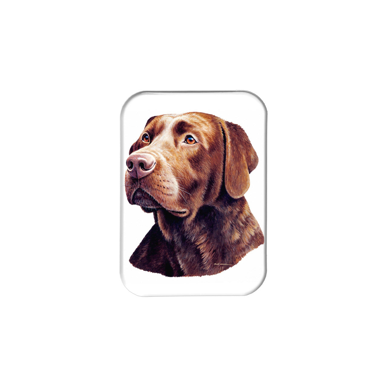 "Chocolate Labrador Retriever" - 2.5" X 3.5" Rectangle Fridge Magnets